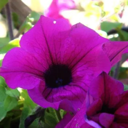 La Rometta Тиволи